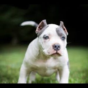 Meet your Posher, Colby